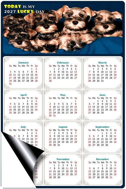 2027 Magnetic Calendar - Today is My Lucky Day (Fade, Tear, and Water Resistant)- Dogs Themed 08