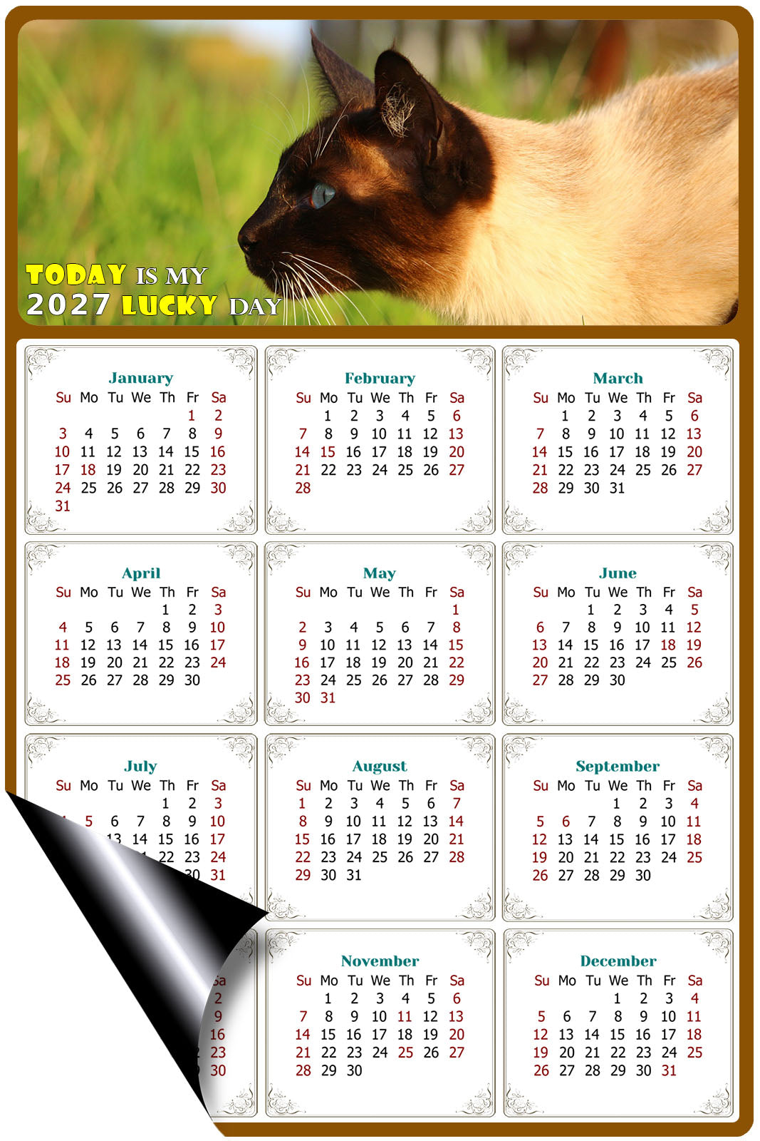 2027 Magnetic Calendar - Today is My Lucky Day (Fade, Tear, and Water Resistant)- Cat Themed 03