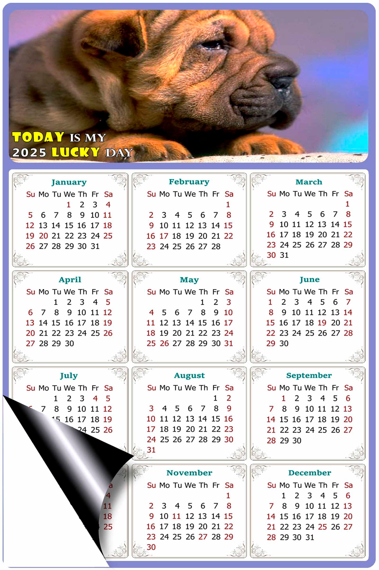 2025 Magnetic Calendar - Today is My Lucky Day (Fade, Tear, and Water Resistant)- Dogs Themed 012