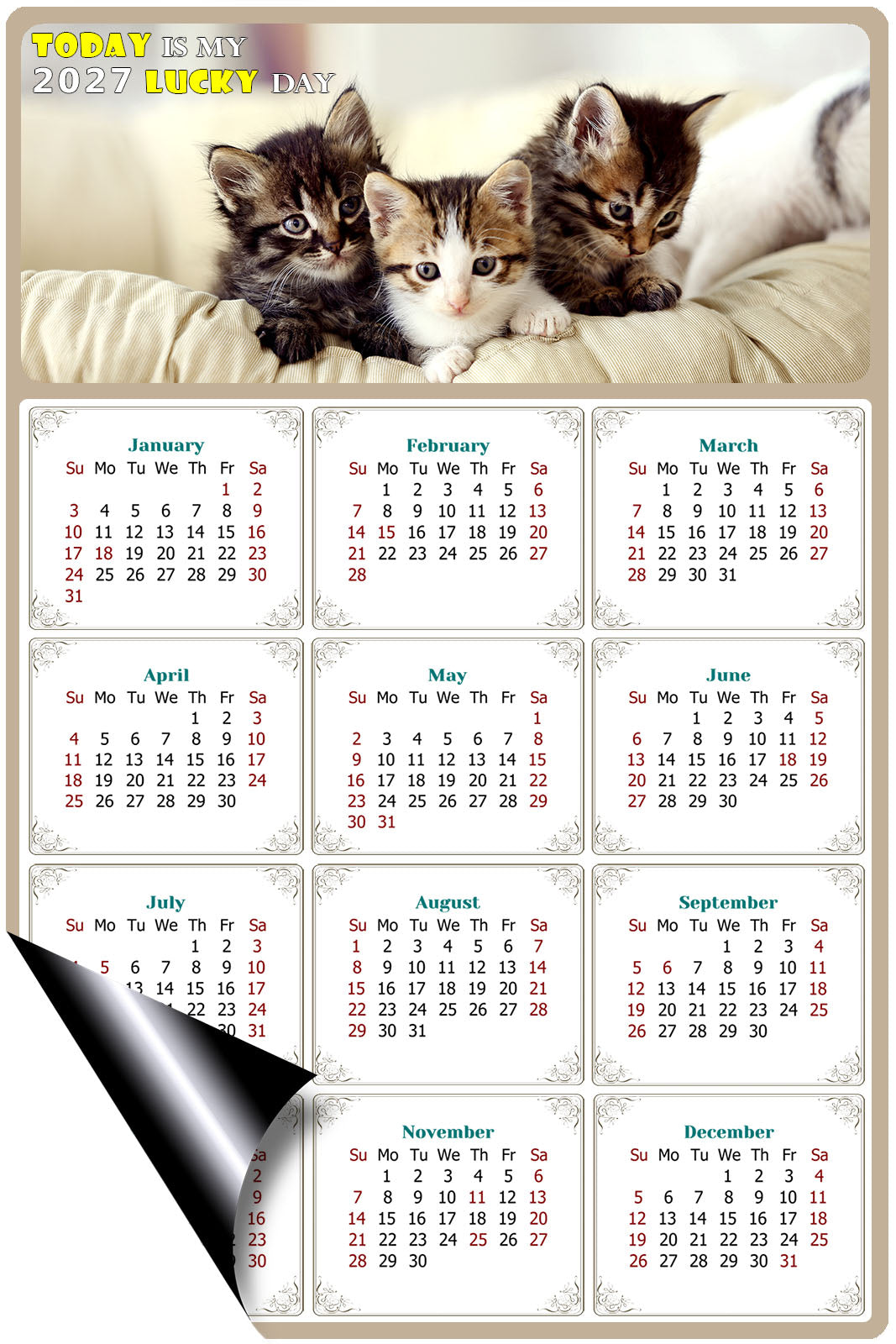 2027 Magnetic Calendar - Today is My Lucky Day (Fade, Tear, and Water Resistant)- Cat Themed 021