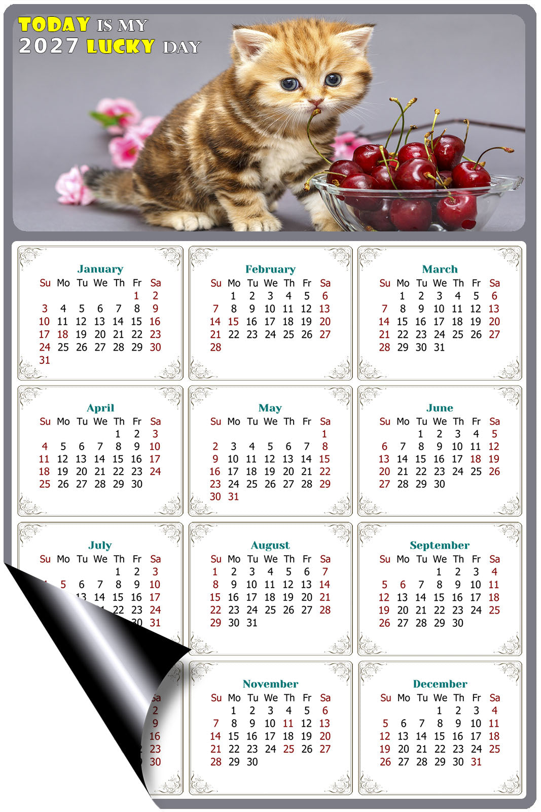 2027 Magnetic Calendar - Today is My Lucky Day (Fade, Tear, and Water Resistant)- Cat Themed 016