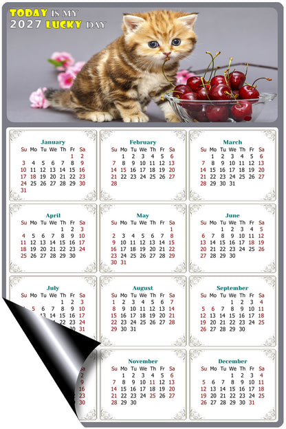 2027 Magnetic Calendar - Today is My Lucky Day (Fade, Tear, and Water Resistant)- Cat Themed 016