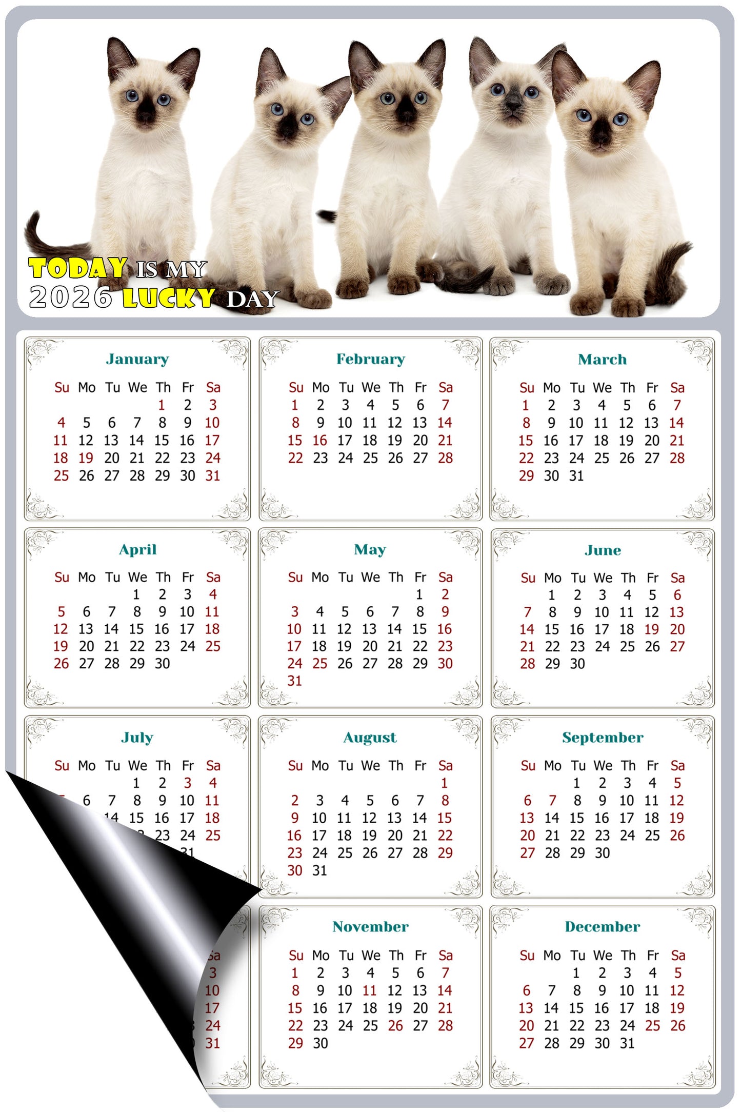 2026 Magnetic Calendar - Today is My Lucky Day (Fade, Tear, and Water Resistant)- Cat Themed 020