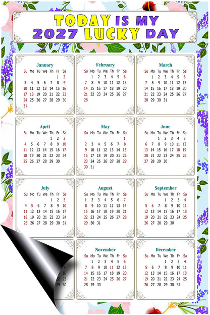 2027 Magnetic Calendar - Calendar Magnets - Today is my Lucky Day - (Fade, Tear, and Water Resistant) - Themed 016