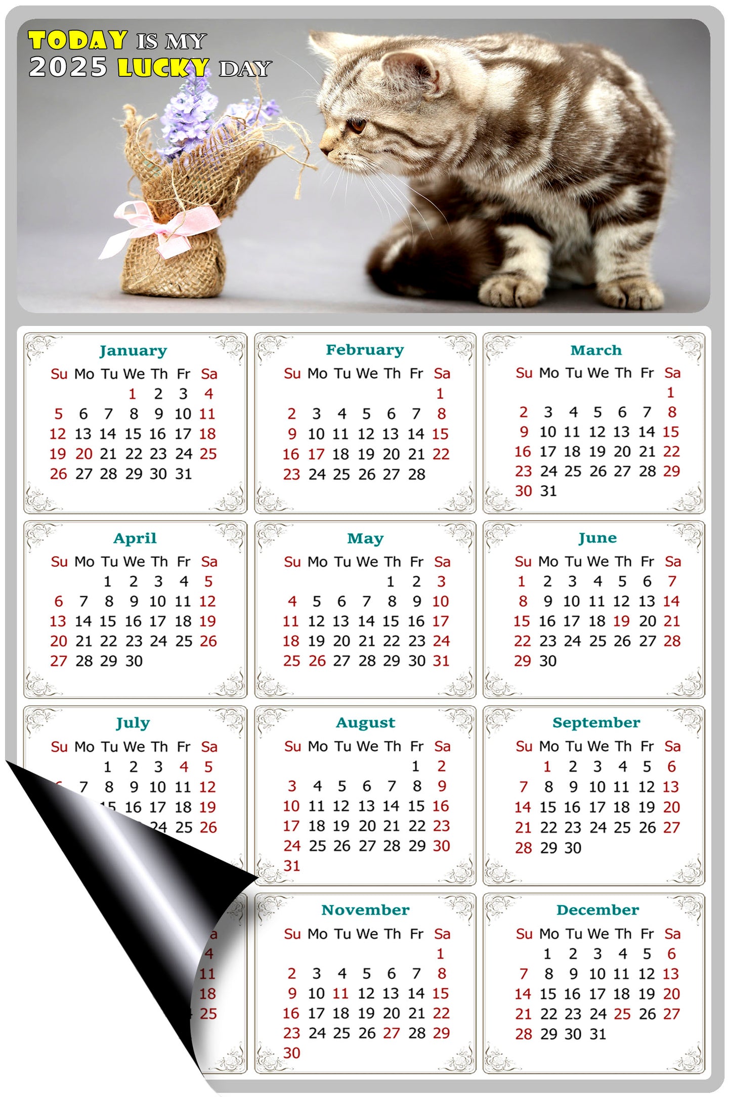 2025 Magnetic Calendar - Today is My Lucky Day (Fade, Tear, and Water Resistant)- Cat Themed 025