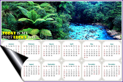 2027 Magnetic Calendar - Calendar Magnets - Today is My Lucky Day (Waipoua Kauri Reserve)