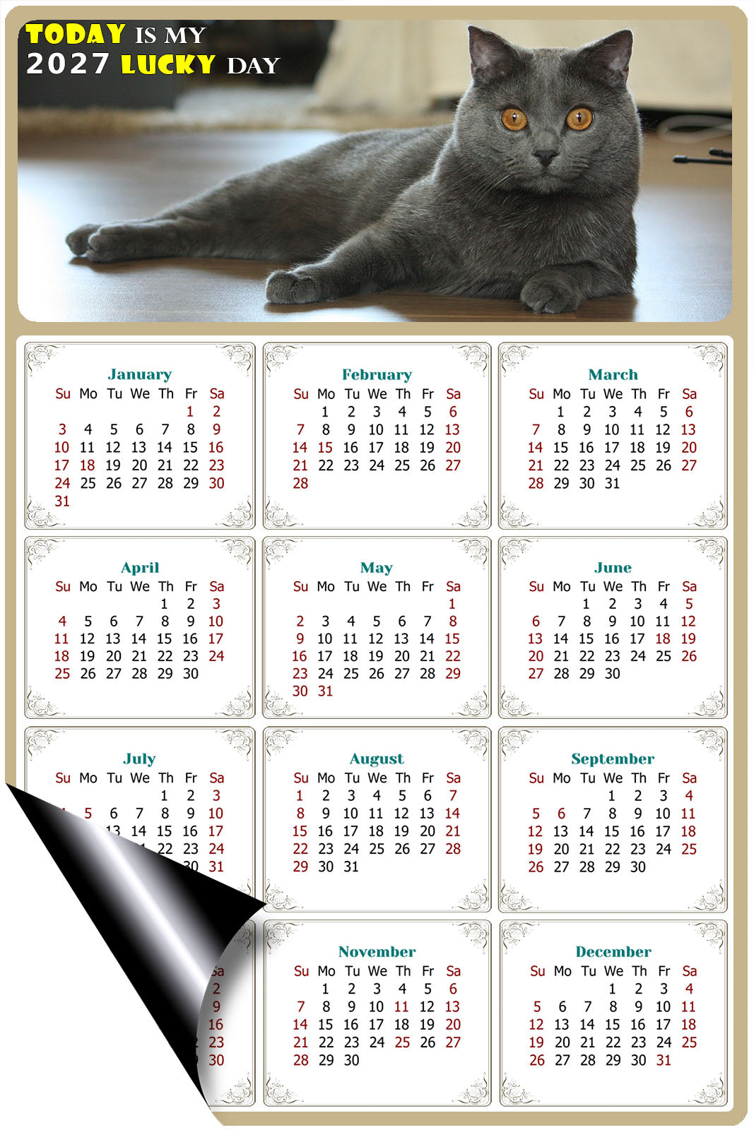 2027 Magnetic Calendar - Today is My Lucky Day (Fade, Tear, and Water Resistant)- Cat Themed 014