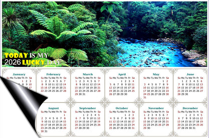 2026 Magnetic Calendar - Calendar Magnets - Today is My Lucky Day (Waipoua Kauri Reserve)