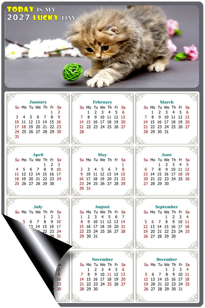 2027 Magnetic Calendar - Today is My Lucky Day (Fade, Tear, and Water Resistant)- Cat Themed 017