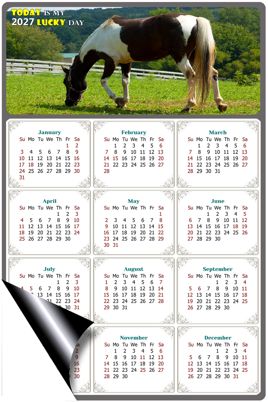 2027 Magnetic Calendar - Calendar Magnets - Today is my Lucky Day - (Fade, Tear, and Water Resistant) - Horses Themed 020