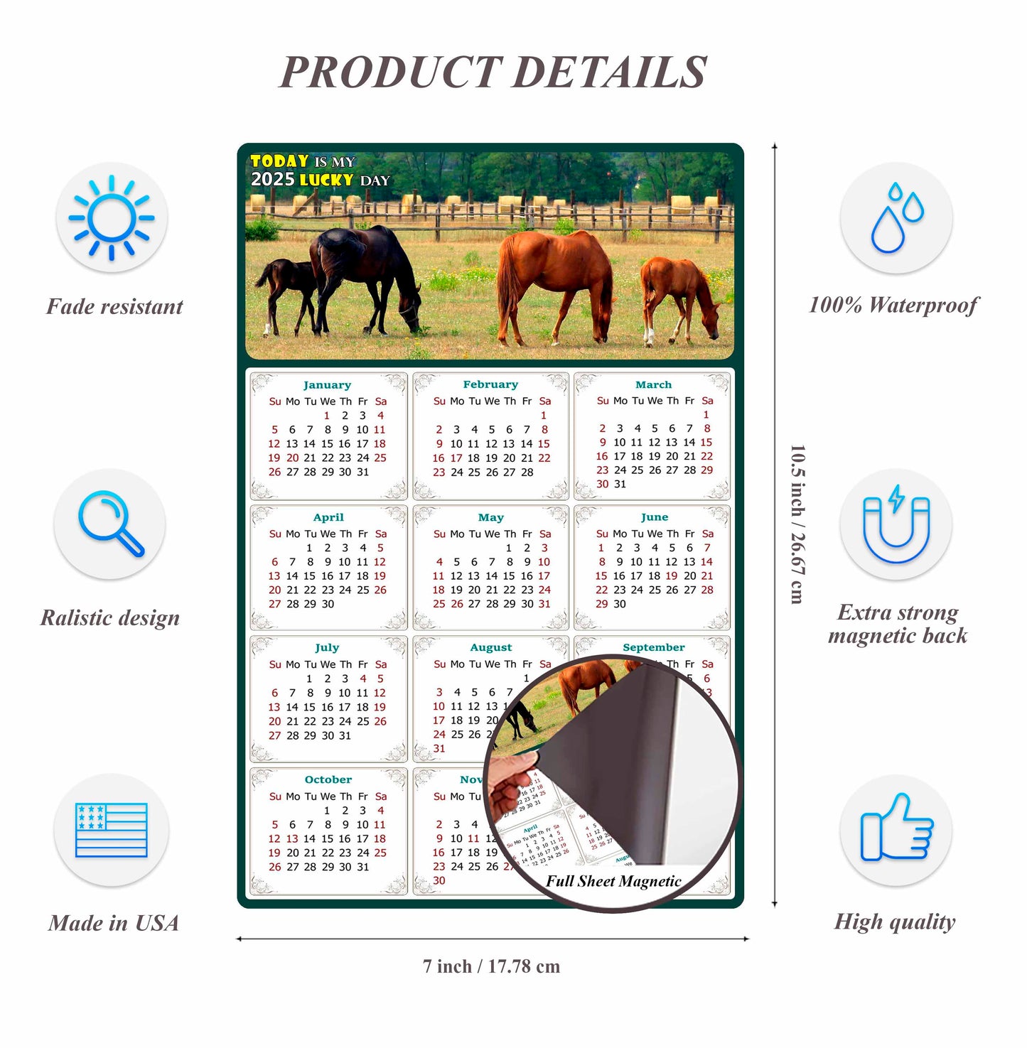 2025 Magnetic Calendar - Calendar Magnets - Today is my Lucky Day - (Fade, Tear, and Water Resistant) - Horses Themed 010