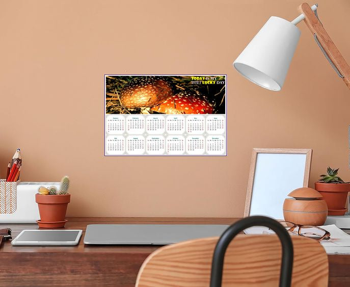 2027 Peel & Stick Calendar - Today is my Lucky Day - Removable, Repositionable - 038 (9"x 6")