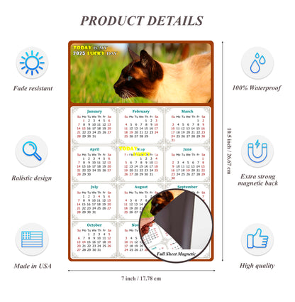 2025 Magnetic Calendar - Today is My Lucky Day (Fade, Tear, and Water Resistant)- Cat Themed 03