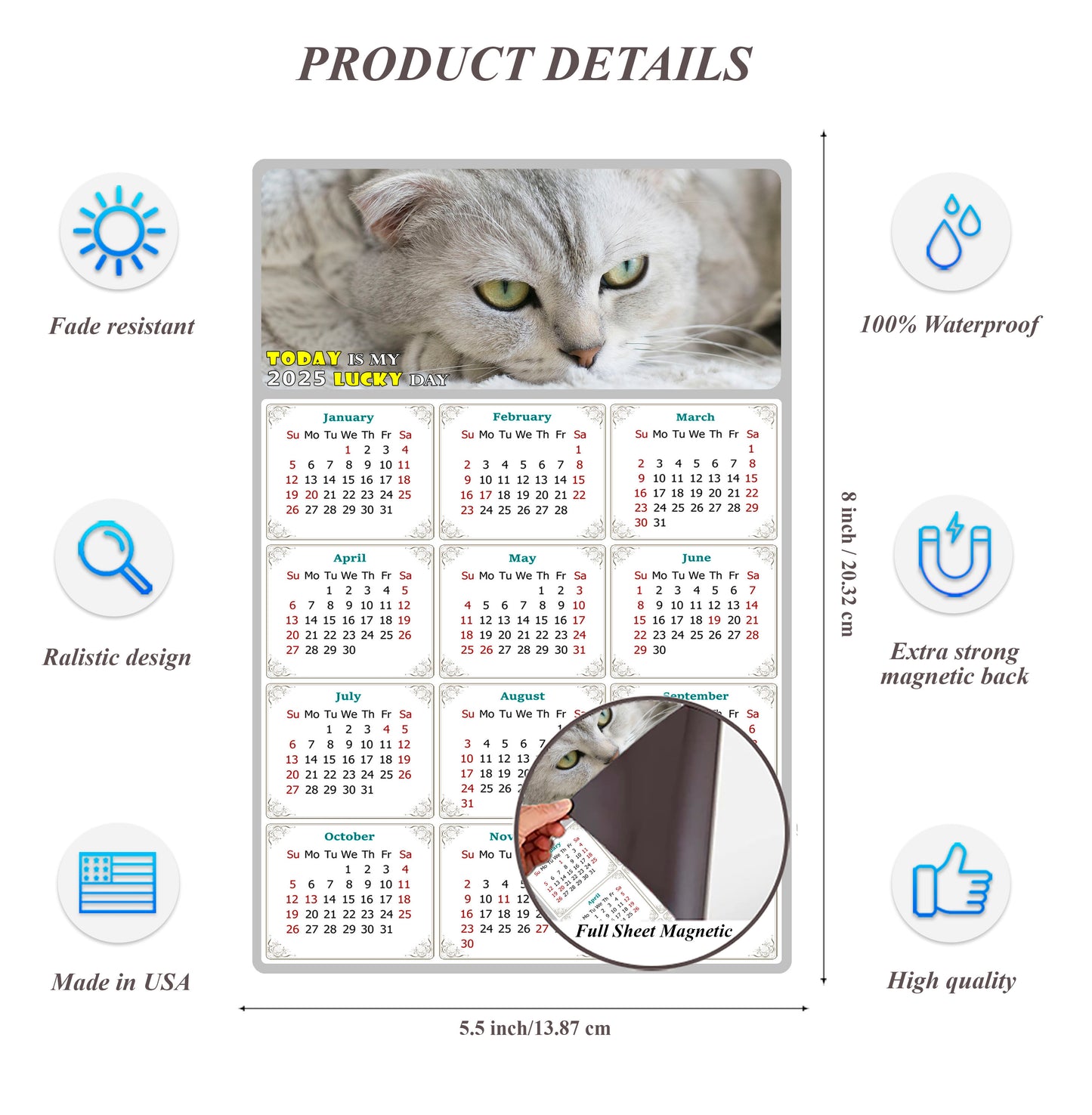 2025 Magnetic Calendar - Today is My Lucky Day (Fade, Tear, and Water Resistant)- Cat Themed 01