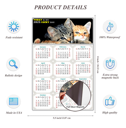2025 Magnetic Calendar - Today is My Lucky Day (Fade, Tear, and Water Resistant)- Cat Themed 010