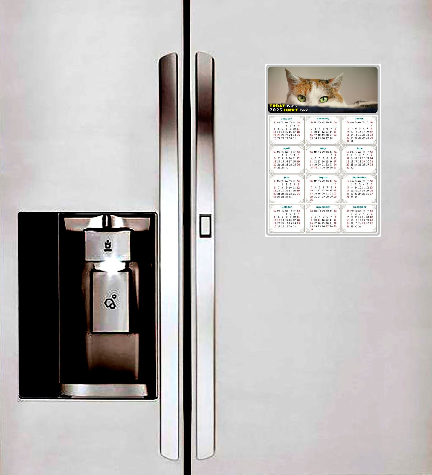 2025 Peel & Stick Calendar - Today is my Lucky Day Removable - Cat 012 (12"x 8")