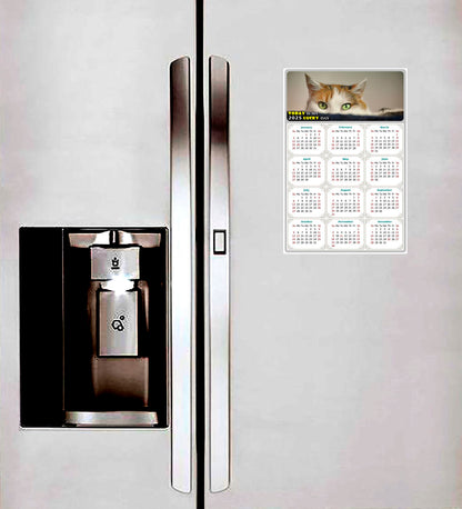 2025 Peel & Stick Calendar - Today is my Lucky Day Removable - Cat 012 (12"x 8")