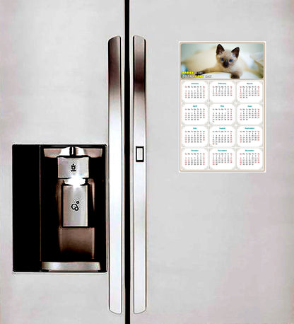 2026 Magnetic Calendar - Today is My Lucky Day (Fade, Tear, and Water Resistant)- Cat Themed 013