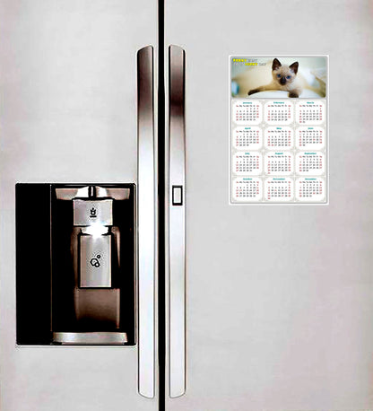 2025 Magnetic Calendar - Today is My Lucky Day (Fade, Tear, and Water Resistant)- Cat Themed 013