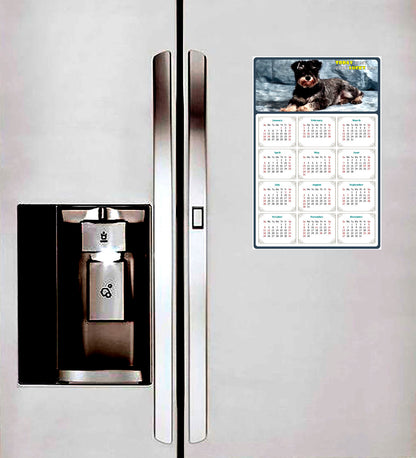 2026 Peel & Stick Calendar - Today is my Lucky Day Removable - Dogs 010 (12"x 8")