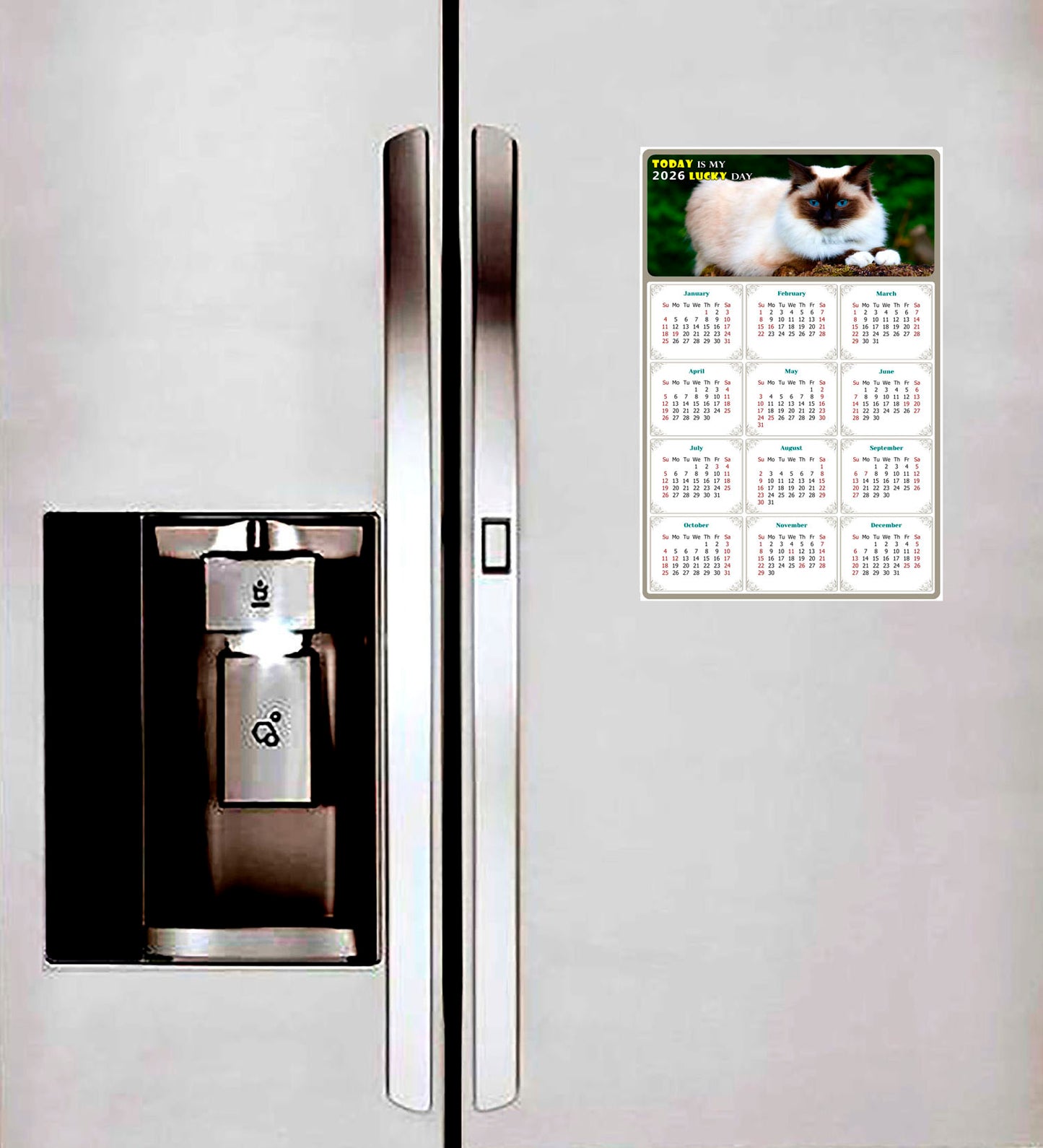 2026 Magnetic Calendar - Today is My Lucky Day (Fade, Tear, and Water Resistant)- Cat Themed 02