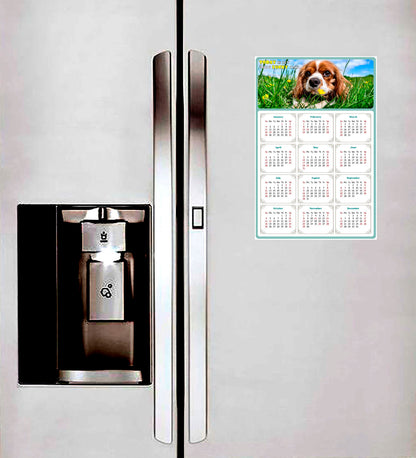 2026 Peel & Stick Calendar - Today is my Lucky Day Removable - Dogs 06 (9"x 6")