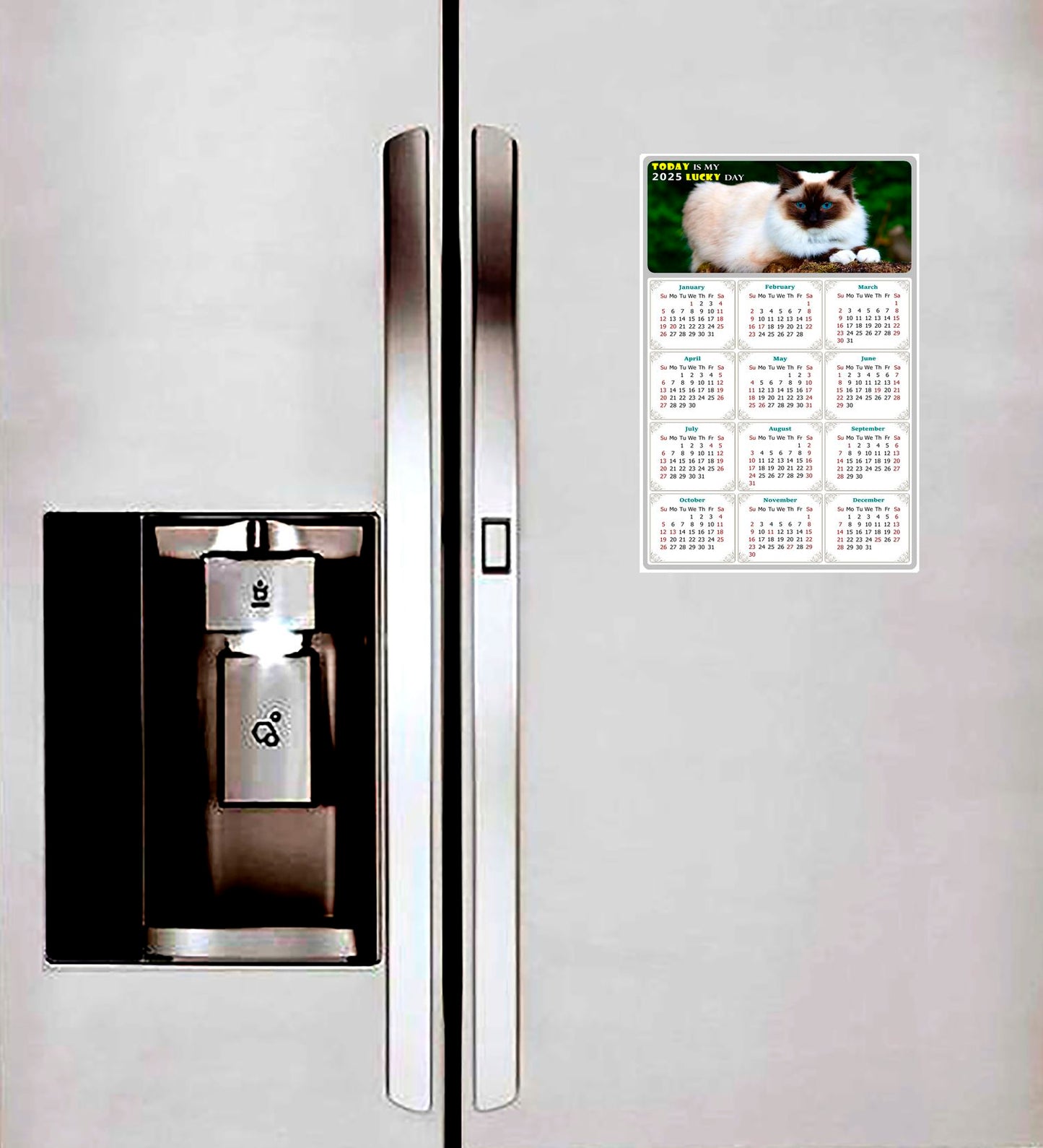 2025 Peel & Stick Calendar - Today is my Lucky Day Removable - Cat 02 (12"x 8")