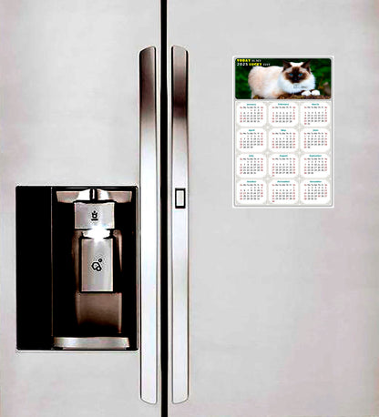 2025 Peel & Stick Calendar - Today is my Lucky Day Removable - Cat 02 (12"x 8")