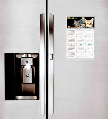 2025 Peel & Stick Calendar - Today is my Lucky Day Removable - Cat 010 (9"x 6")