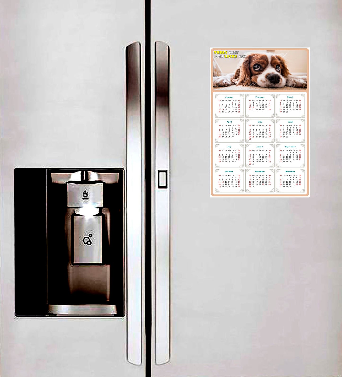 2026 Magnetic Calendar - Today is My Lucky Day (Fade, Tear, and Water Resistant)- Dogs Themed 01