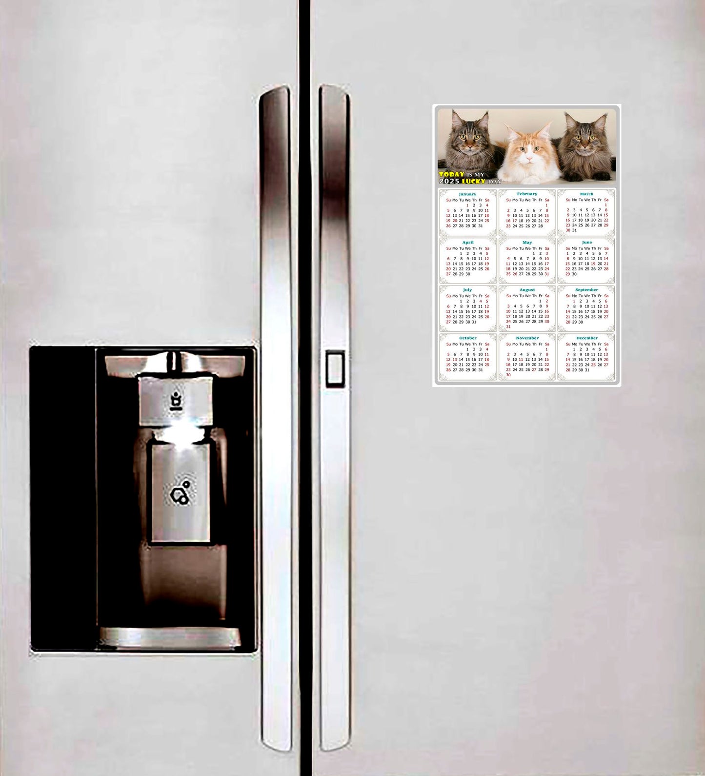 2025 Peel & Stick Calendar - Today is my Lucky Day Removable - Cat 015 (12"x 8")