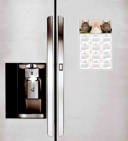 2025 Peel & Stick Calendar - Today is my Lucky Day Removable - Cat 015 (12"x 8")