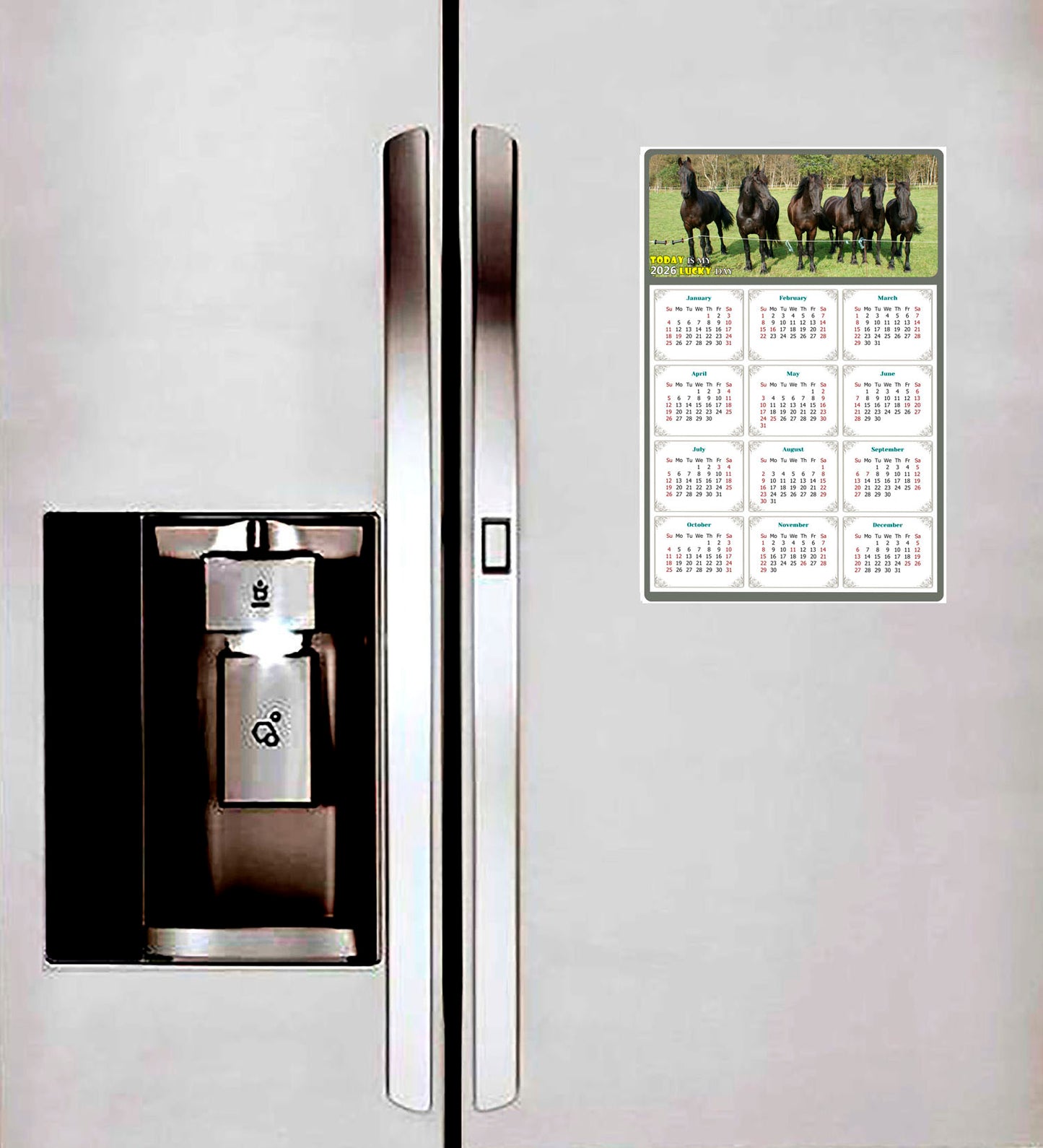 2026 Magnetic Calendar - Calendar Magnets - Today is my Lucky Day - (Fade, Tear, and Water Resistant) - Horses Themed 06