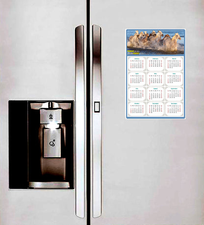 2026 Peel & Stick Calendar - Today is my Lucky Day Removable - Horses 08 (9"x 6")
