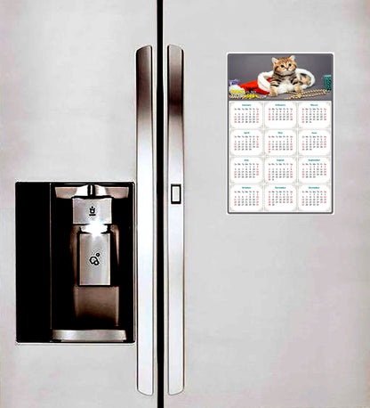 2026 Magnetic Calendar - Today is My Lucky Day (Fade, Tear, and Water Resistant)- Cat Themed 023