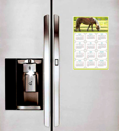 2026 Magnetic Calendar - Calendar Magnets - Today is my Lucky Day - (Fade, Tear, and Water Resistant) - Horses Themed 016
