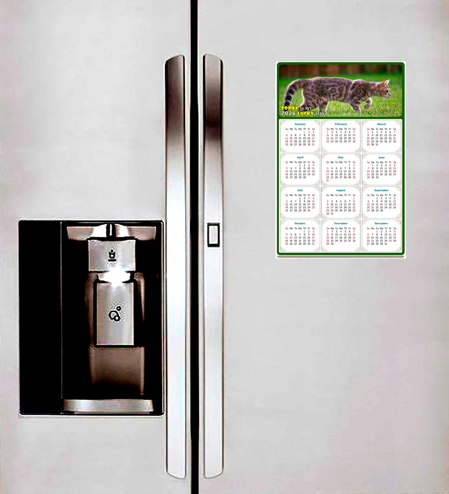 2026 Peel & Stick Calendar - Today is my Lucky Day Removable - Cat 09 (12"x 8")