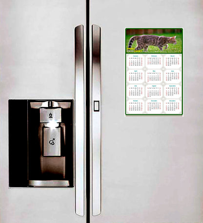 2026 Peel & Stick Calendar - Today is my Lucky Day Removable - Cat 09 (12"x 8")