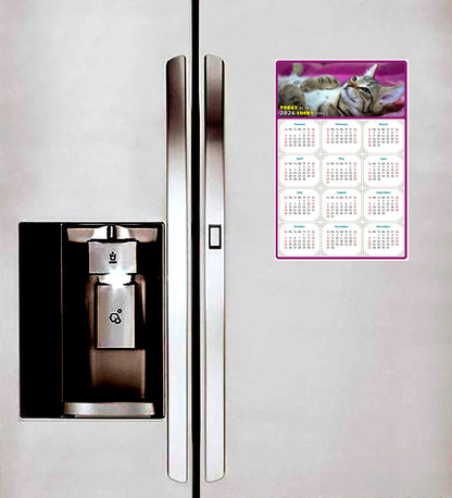 2026 Peel & Stick Calendar - Today is my Lucky Day Removable - Cat 08 (9"x 6")