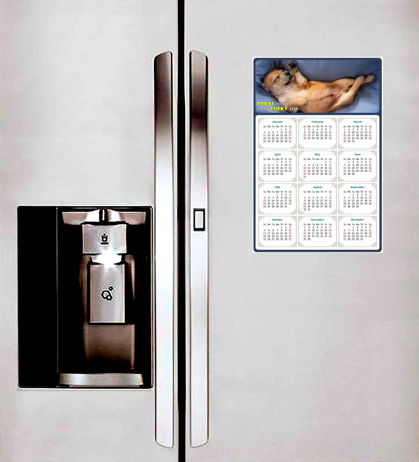 2026 Magnetic Calendar - Today is My Lucky Day (Fade, Tear, and Water Resistant)- Dogs Themed 013