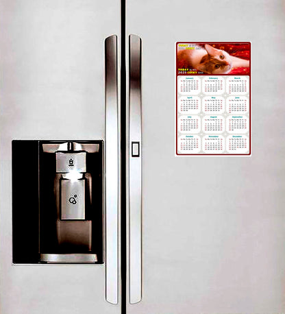 2025 Peel & Stick Calendar - Today is my Lucky Day Removable - Cat 07 (12"x 8")