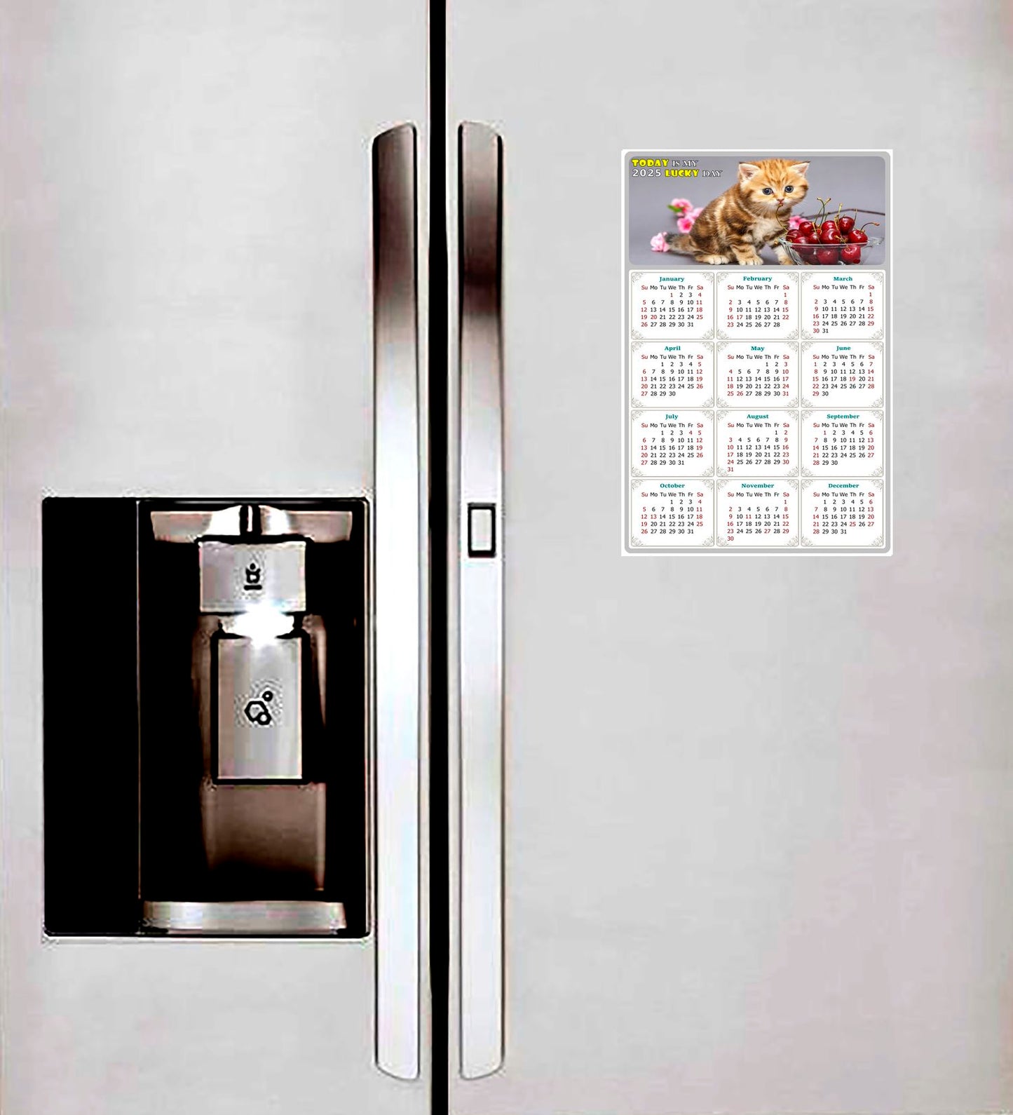2025 Peel & Stick Calendar - Today is my Lucky Day Removable - Cat 016 (12"x 8")