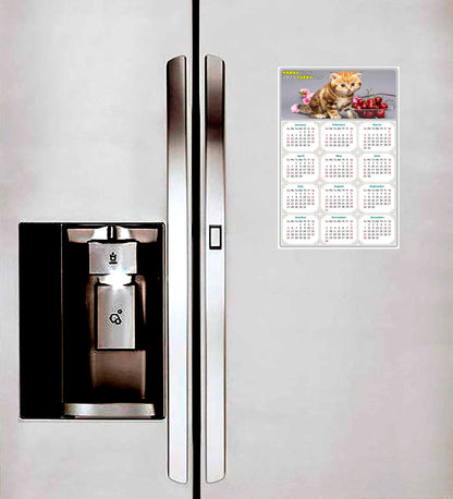 2025 Peel & Stick Calendar - Today is my Lucky Day Removable - Cat 016 (12"x 8")