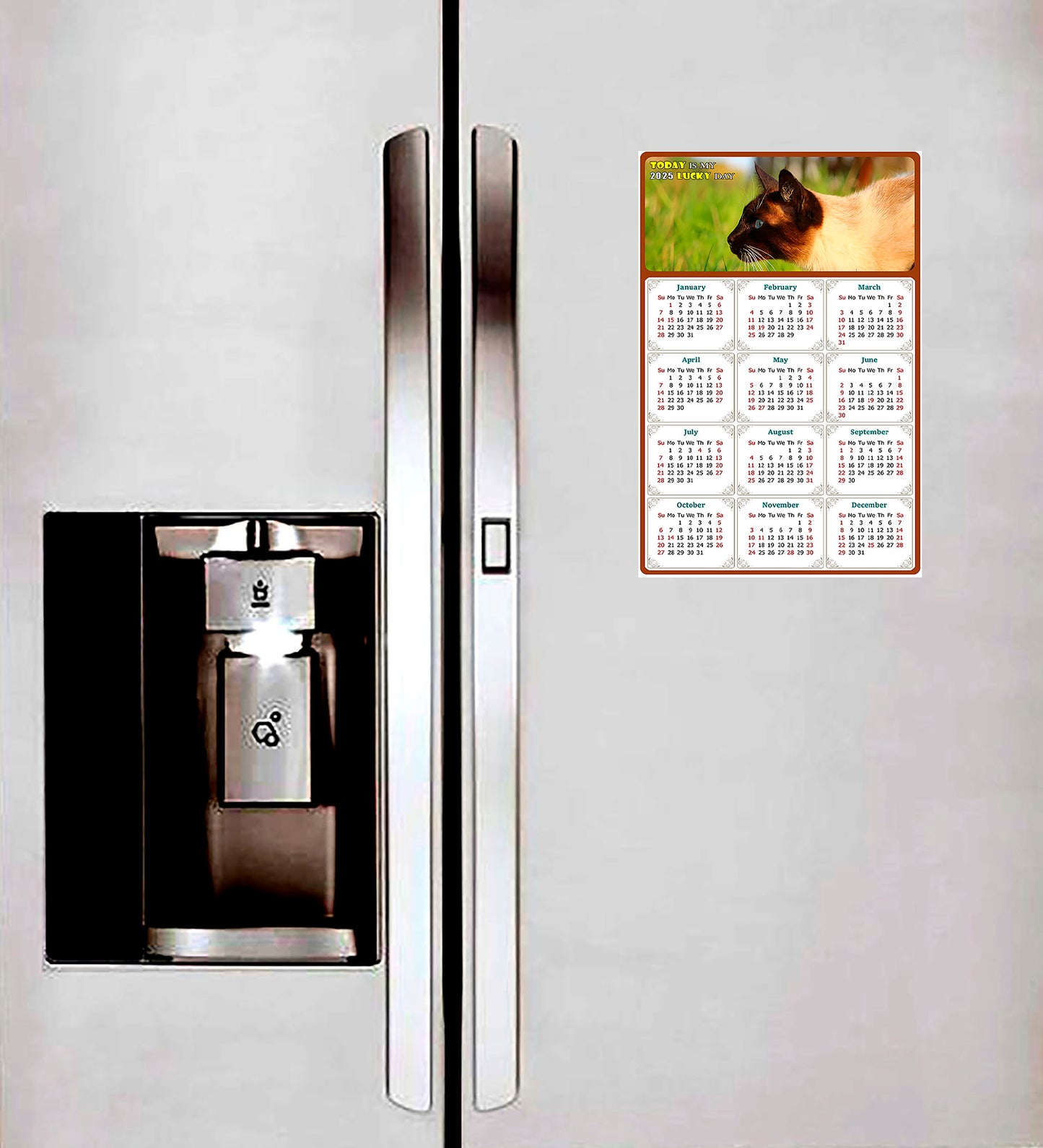 2025 Magnetic Calendar - Today is My Lucky Day (Fade, Tear, and Water Resistant)- Cat Themed 03