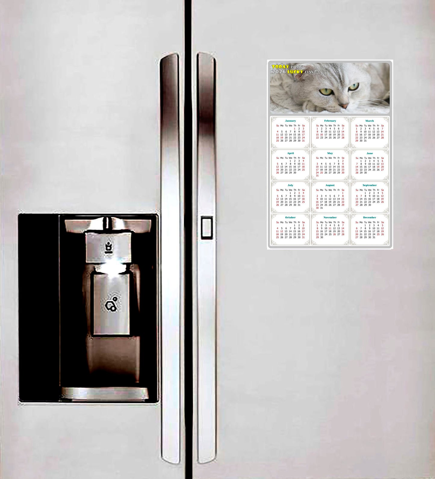 2026 Peel & Stick Calendar - Today is my Lucky Day Removable - Cat 01 (12"x 8")