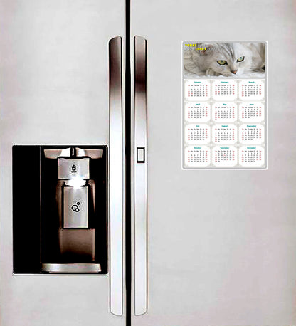 2026 Peel & Stick Calendar - Today is my Lucky Day Removable - Cat 01 (12"x 8")