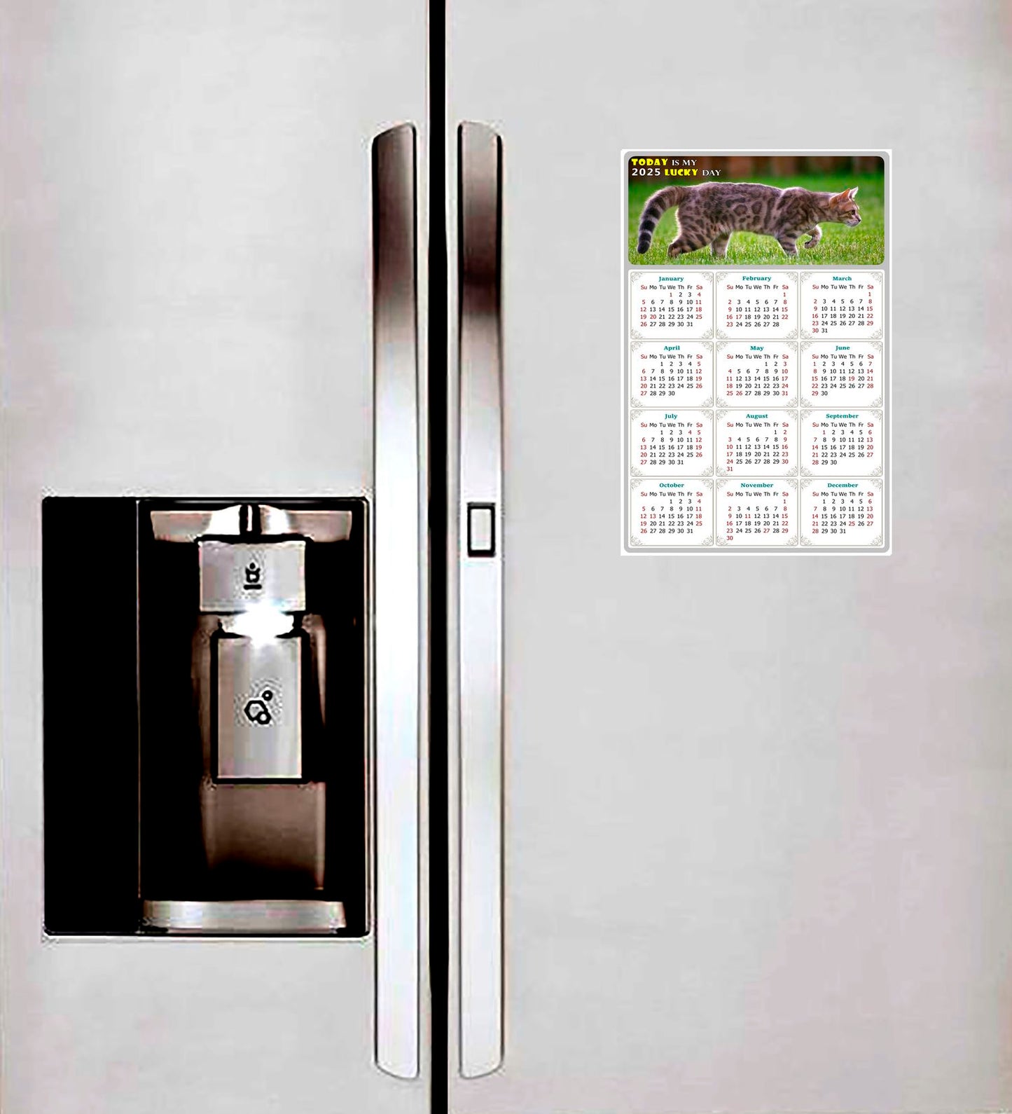 2025 Peel & Stick Calendar - Today is my Lucky Day Removable - Cat 09 (12"x 8")