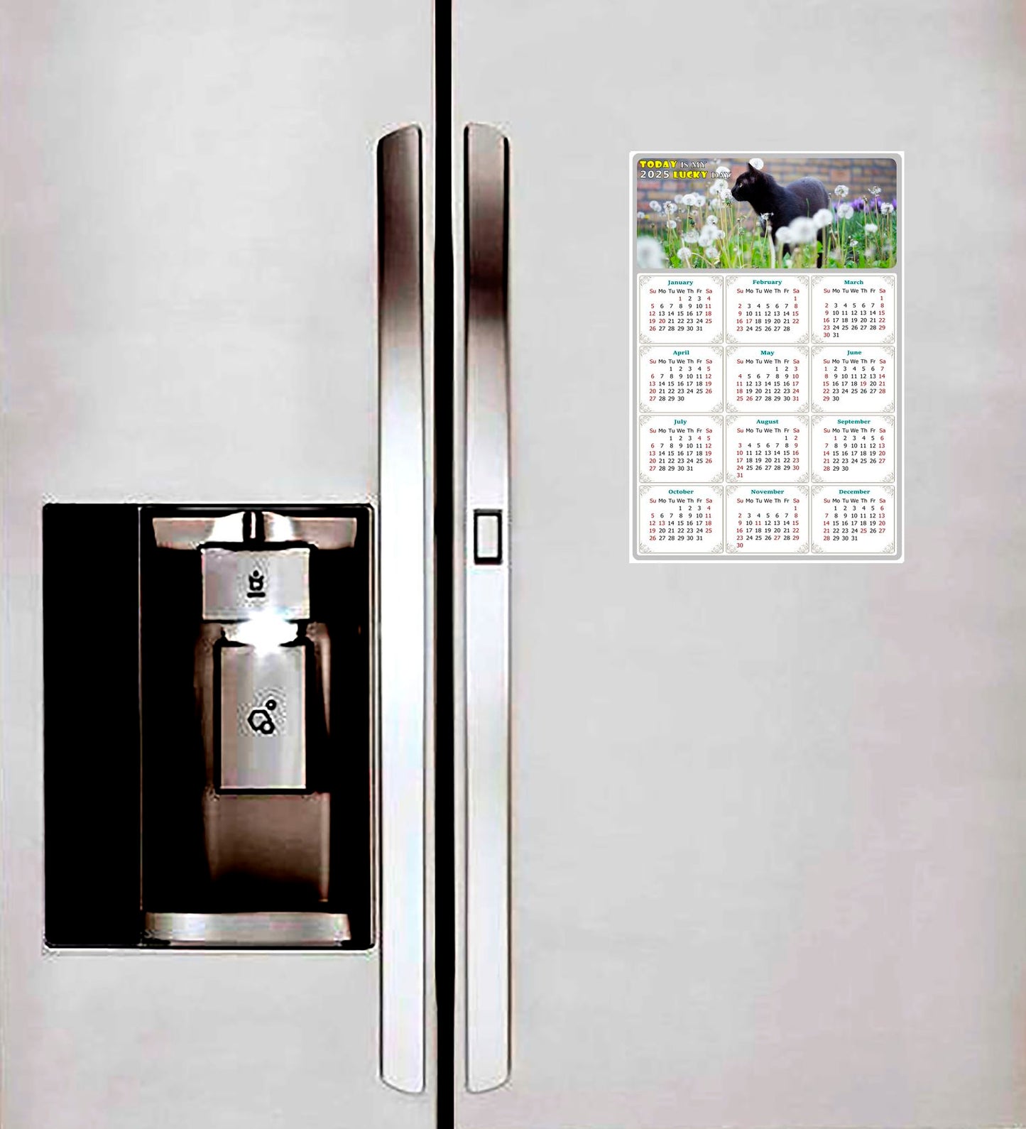 2025 Peel & Stick Calendar - Today is my Lucky Day Removable - Cat 05 (12"x 8")