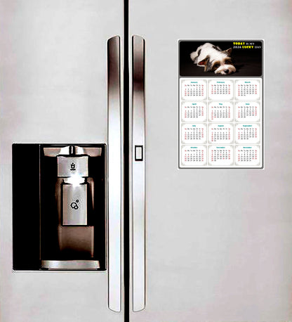2026 Magnetic Calendar - Today is My Lucky Day (Fade, Tear, and Water Resistant)- Dogs Themed 018