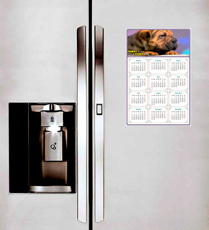 2026 Magnetic Calendar - Today is My Lucky Day (Fade, Tear, and Water Resistant)- Dogs Themed 012
